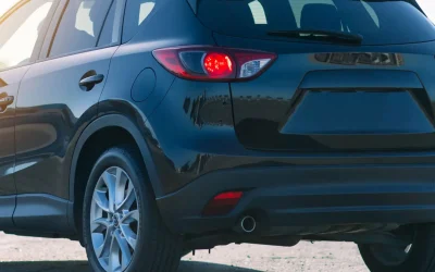 Duis at laoreet mi, eget viverra ex praesent iaculis dui risus